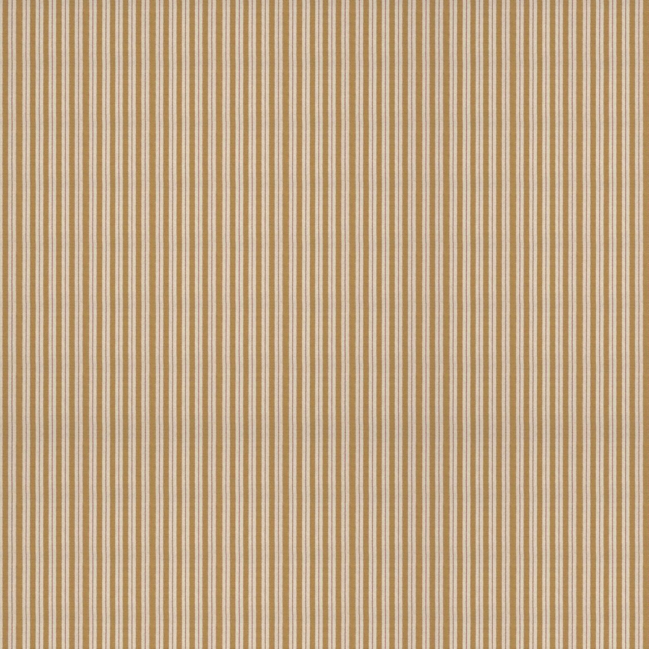 sketched-stripe-gold