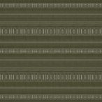 EthnicStripeKiwi2